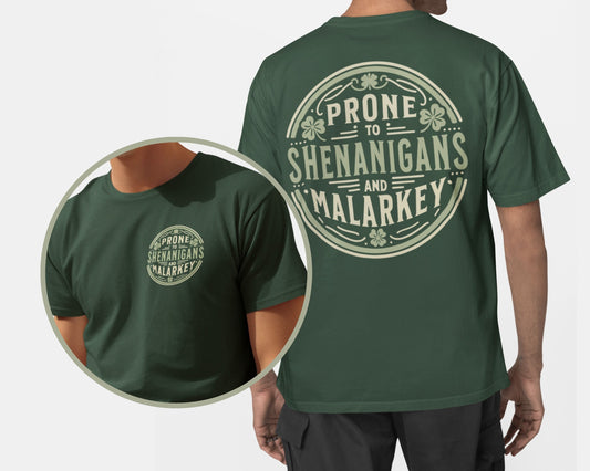 Funny St Patricks Shenanigans and Malarkey Shirt