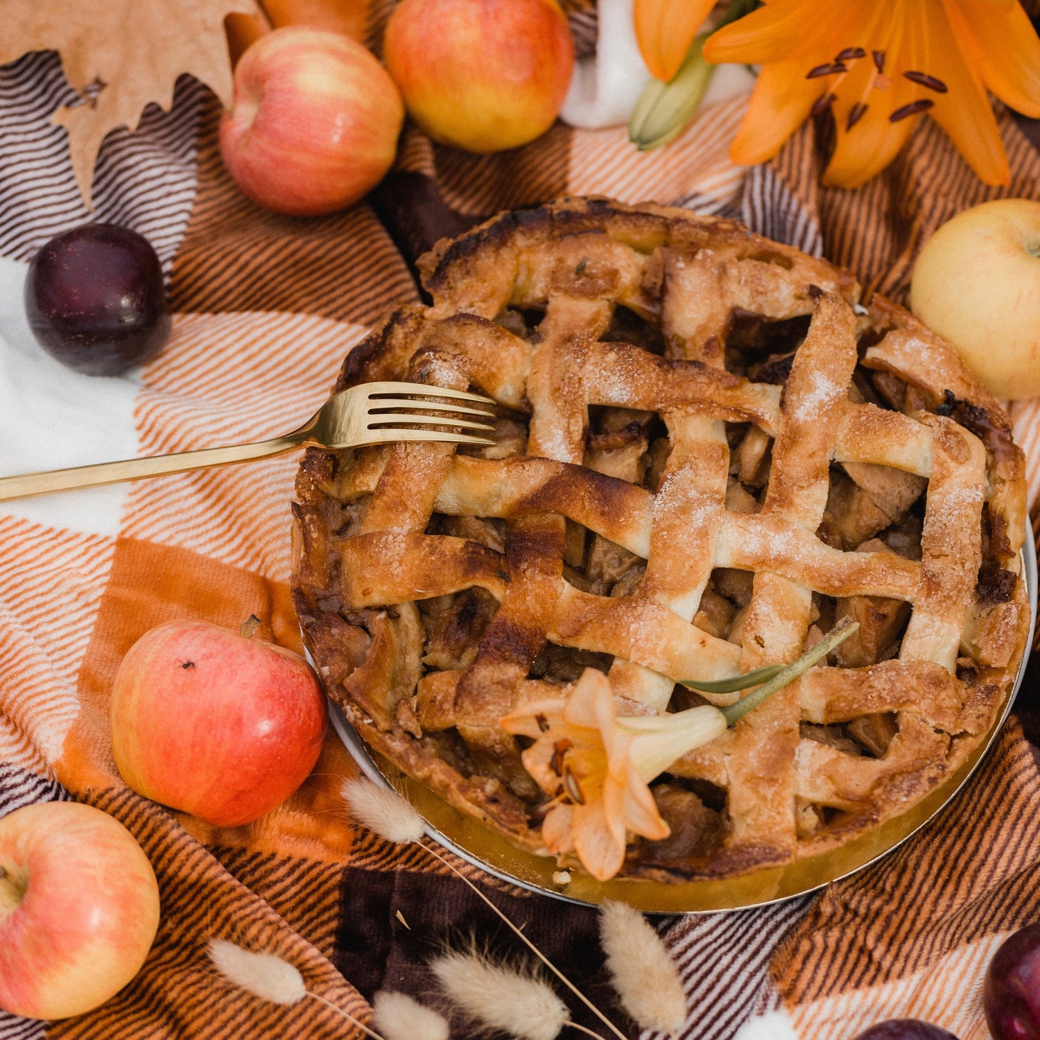 Thanksgiving Collection