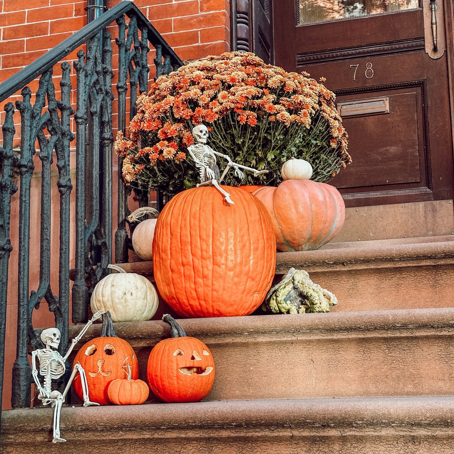 Halloween Collection